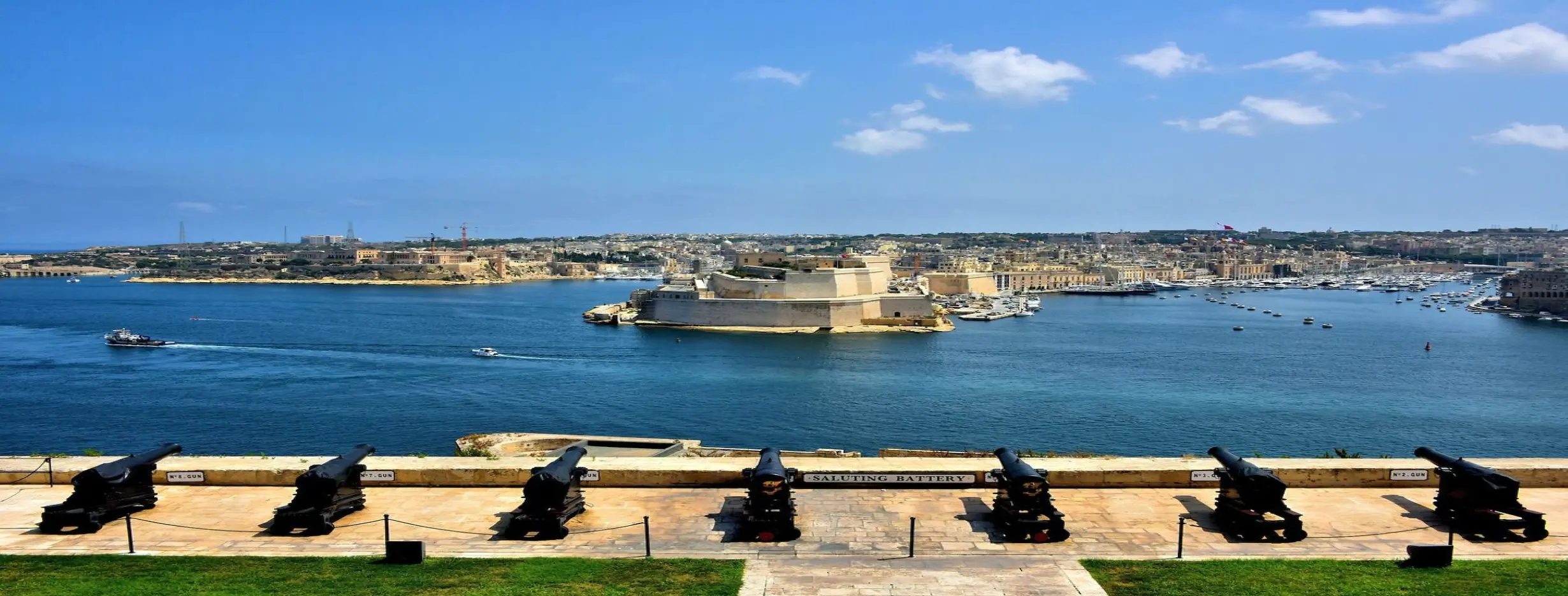 Image for Saluting Battery